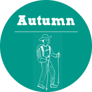 autumn_button_mini