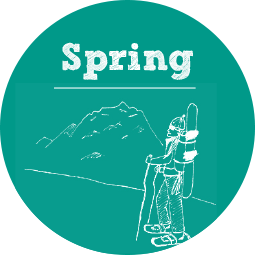 spring_button3
