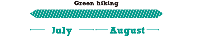 summergreenhiking_cale